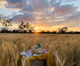 2020 Christmas Gift Boxes