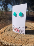 Acrylic Apple Studs